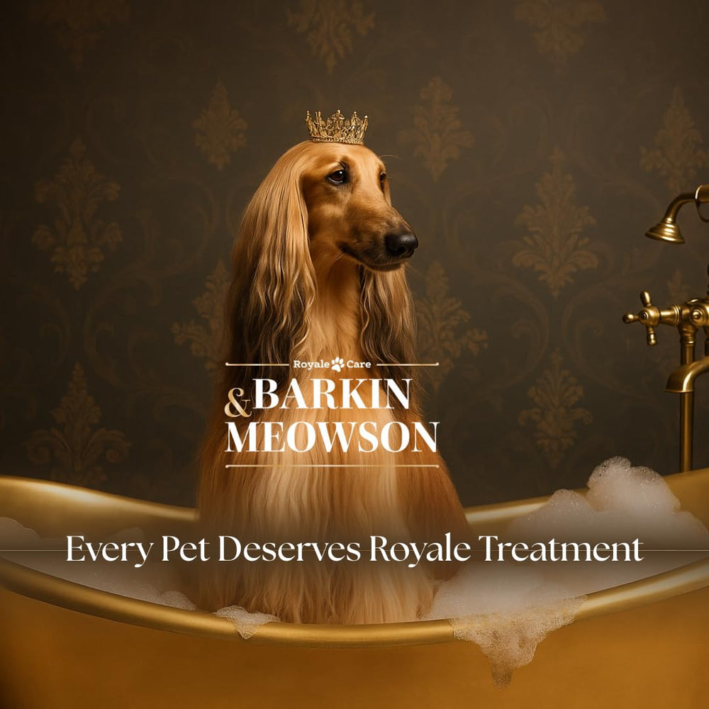 Husky coat grooming session using Barkin & Meowson and its double coat focus.