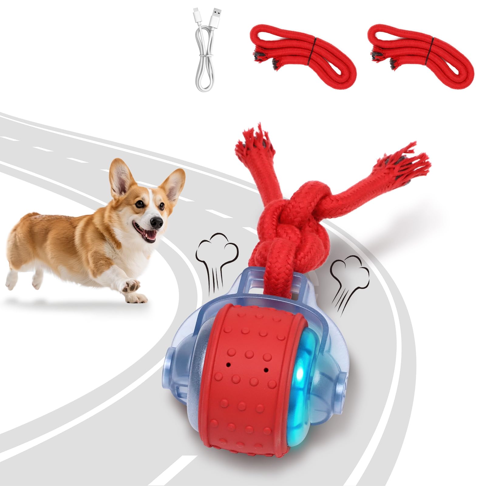 Bentopal interactive dog ball in outdoor grass promotes active play.