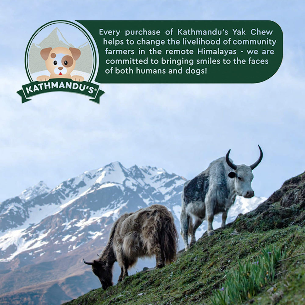 No rawhide alternative from Kathmandu's Himalayan Yak range.