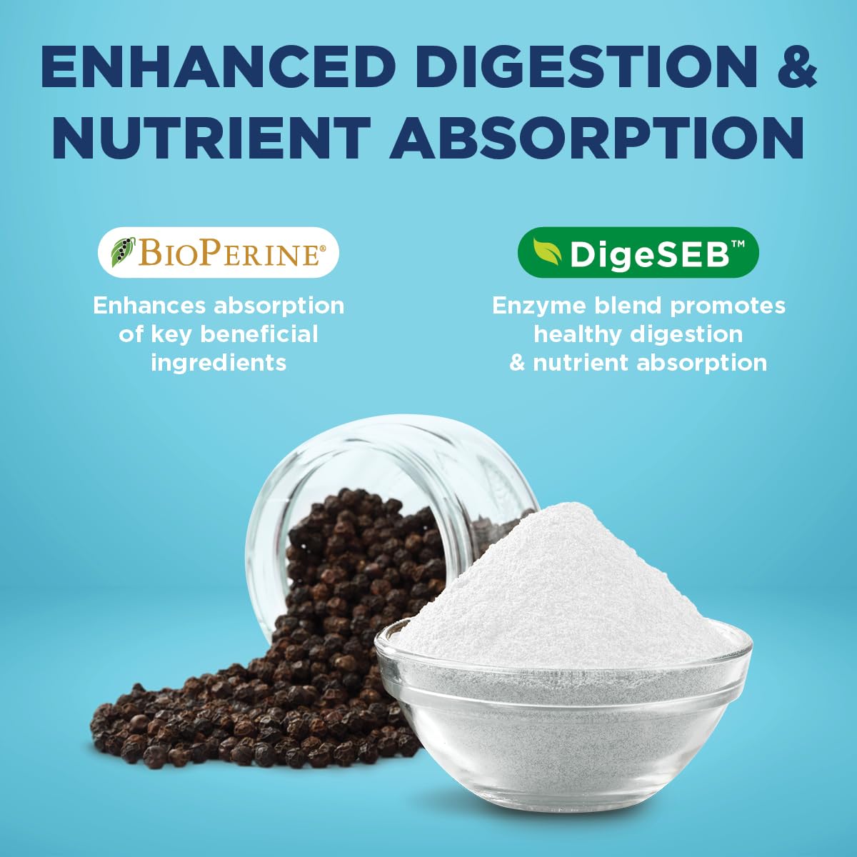 Digestive enzymes DigeSEB illustration with probiotics promoting nutrient absorption.
