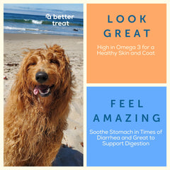 A Better Treat freeze-dried organic beef liver dog treat rich in omega fatty acids
