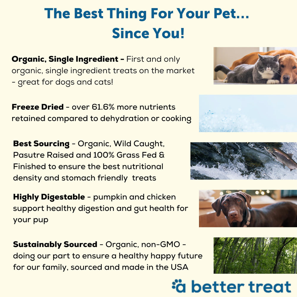 A Better Treat freeze-dried organic chicken dog treat highly digestible protein