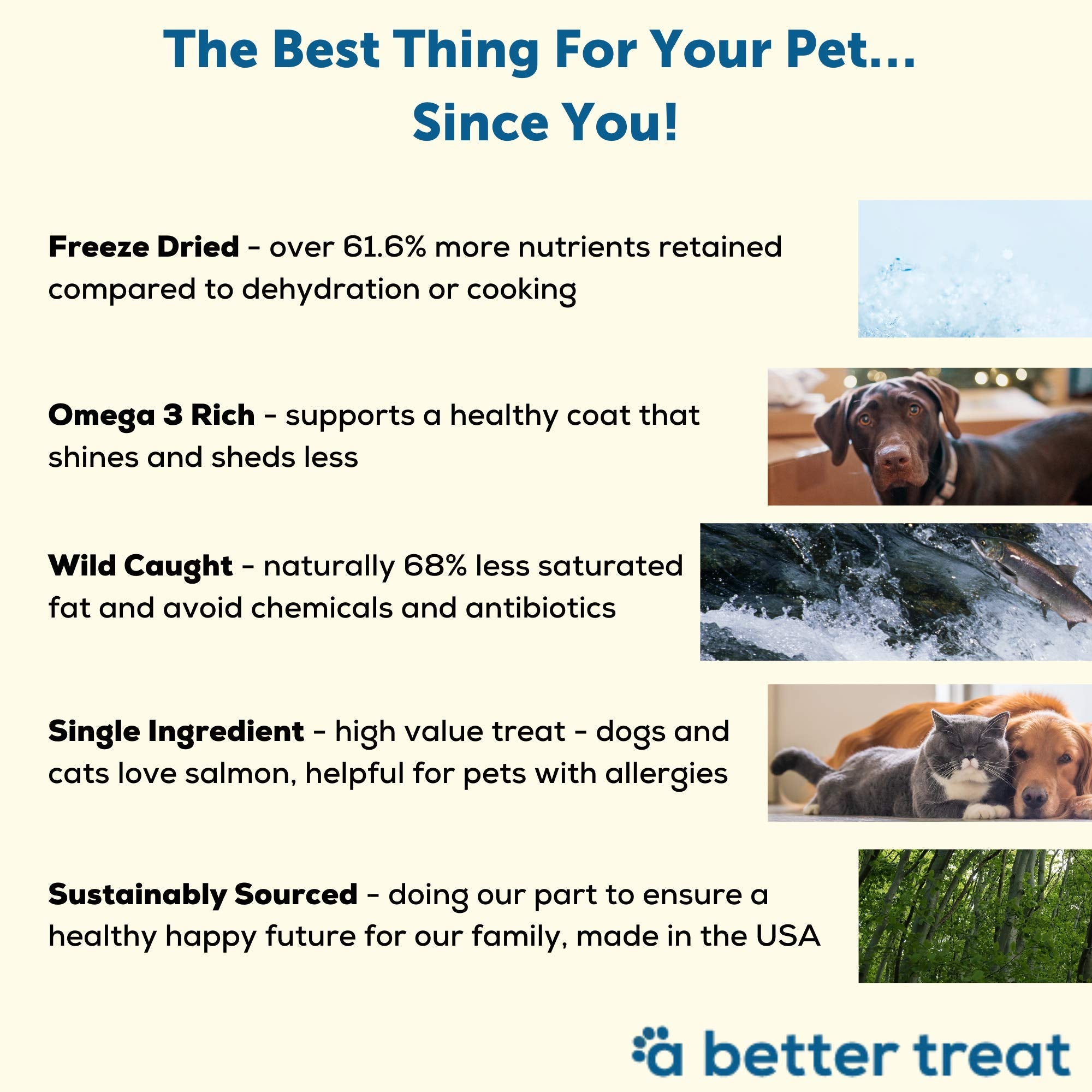 A Better Treat gluten-free and grain-free salmon treats for dietary needs.