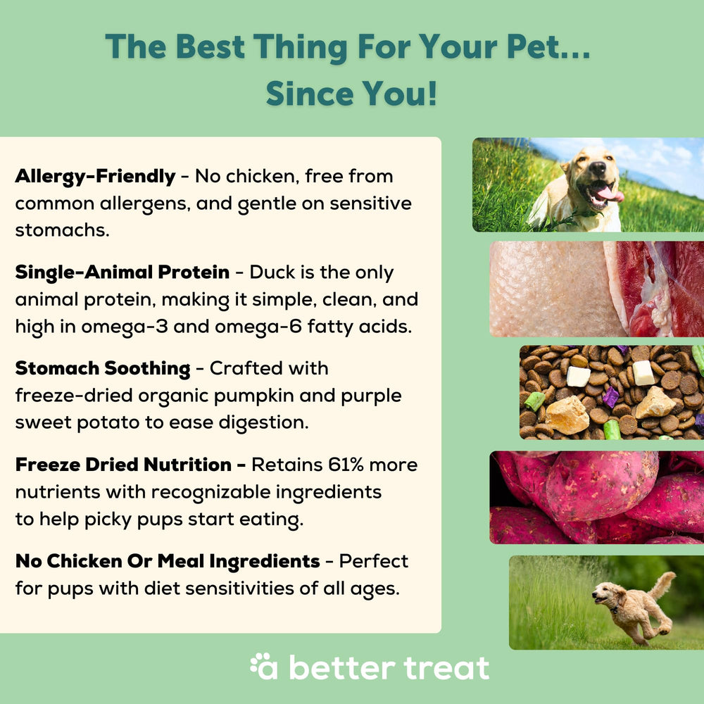 A Better Treat grain-free duck kibble designed for easier digestion.