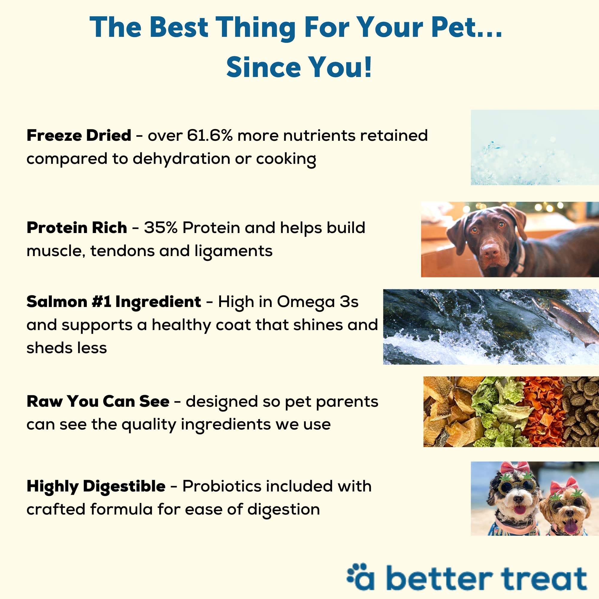 A Better Treat high-protein kibble texture in the bag and bowl