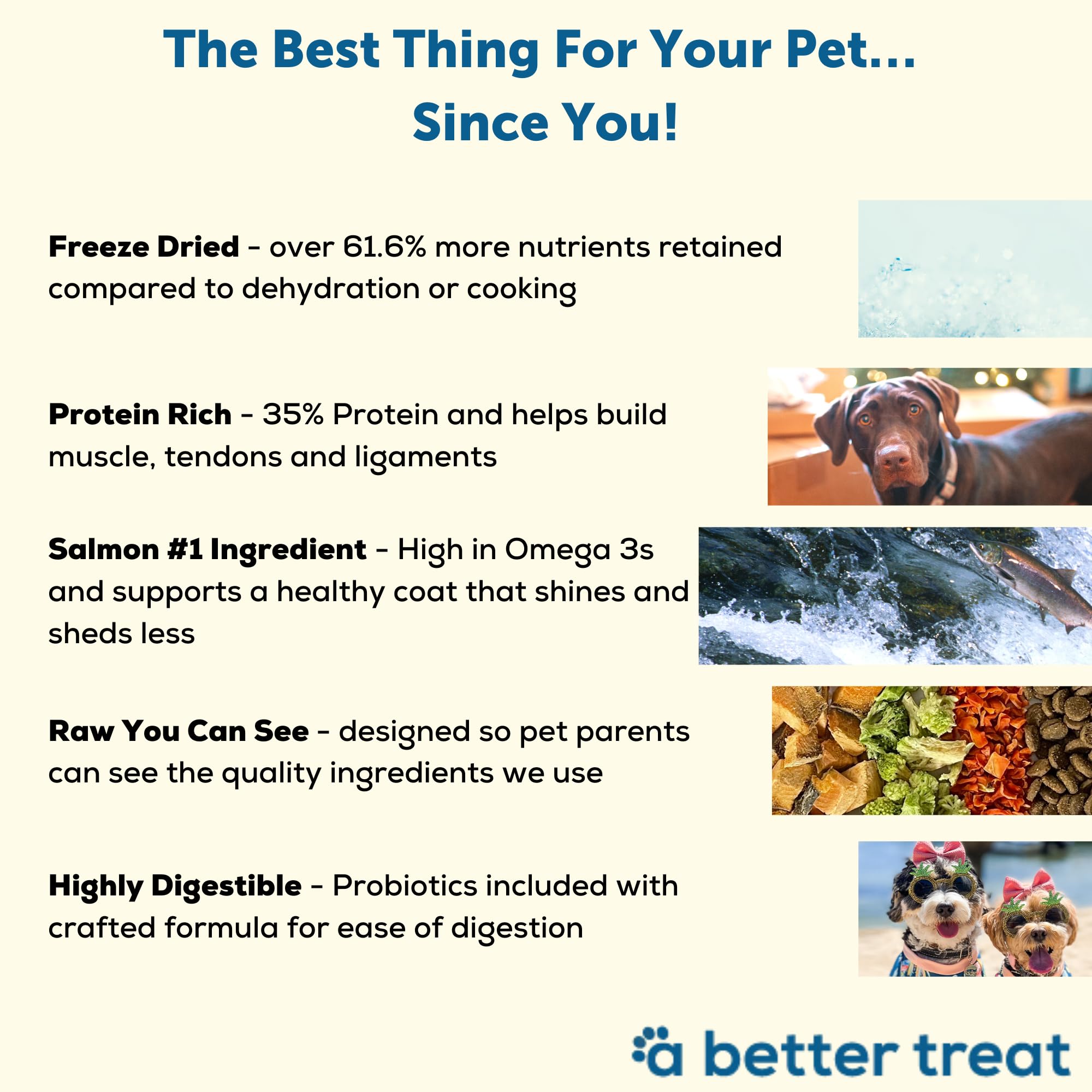 A Better Treat high-protein kibble supports strong muscles and healthy coat.