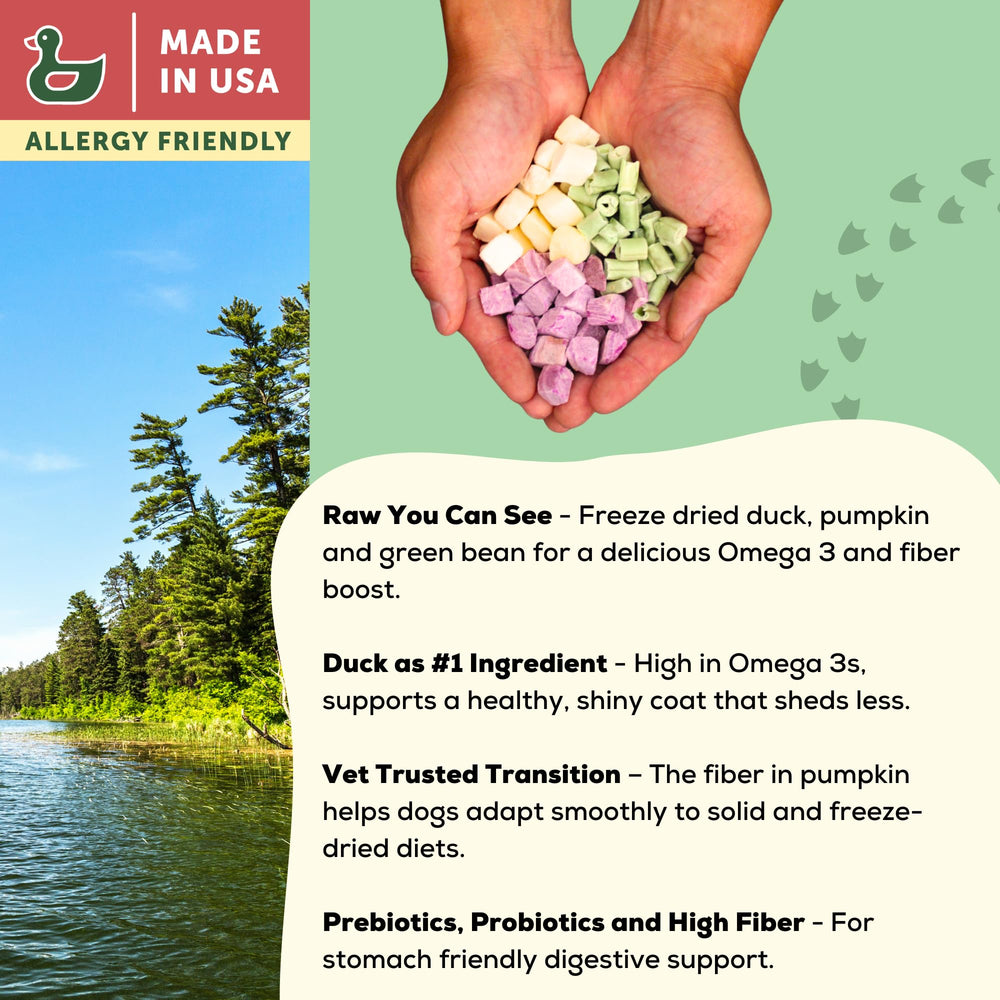 A Better Treat kibble with duck protein served in a bowl for nourishment