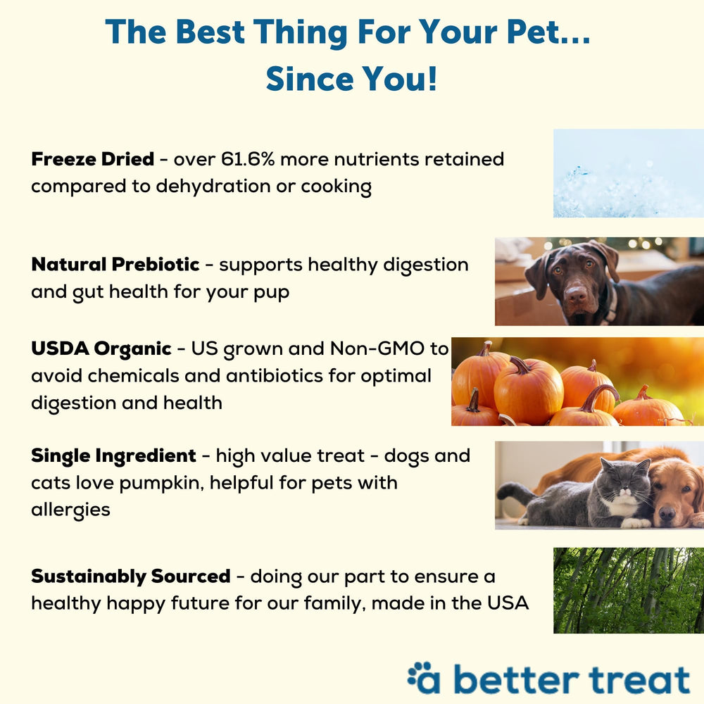 A Better Treat single-ingredient pumpkin bites for sensitive stomachs and grain-free diets.
