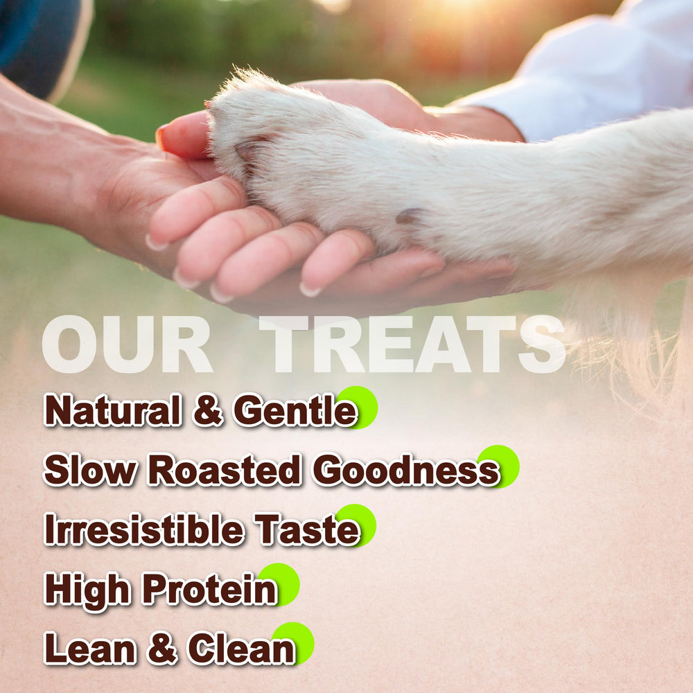 A Freschi srl Chicken Jerky puppy-friendly bite designed for easy digestion.