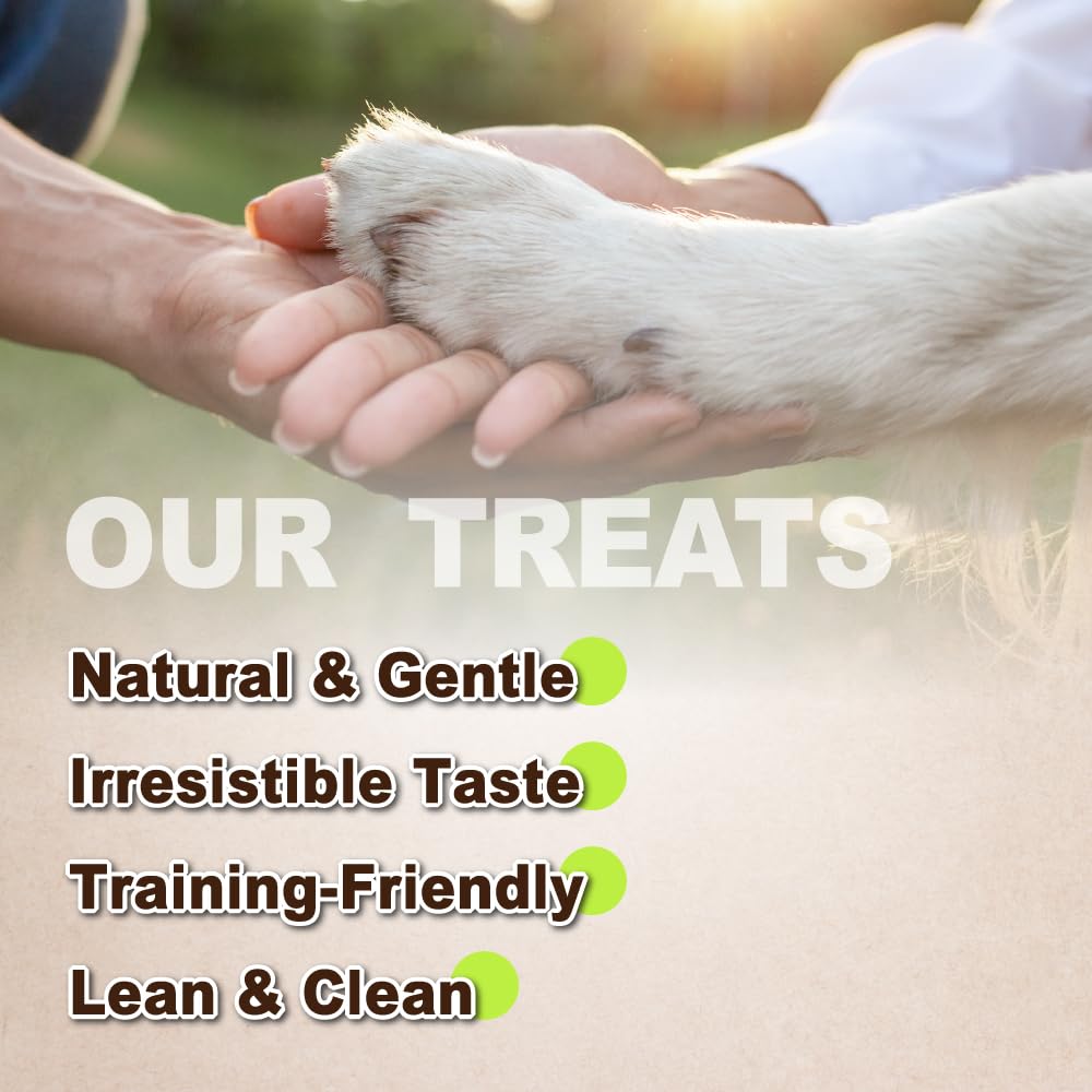 A Freschi srl turkey dog treats training session showing bite-sized rewards for positive reinforcement.