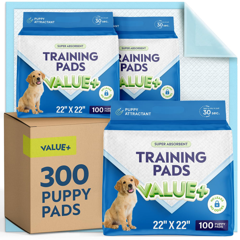 A World of Deals puppy pads front view 22x22 showing absorbent surface for training.