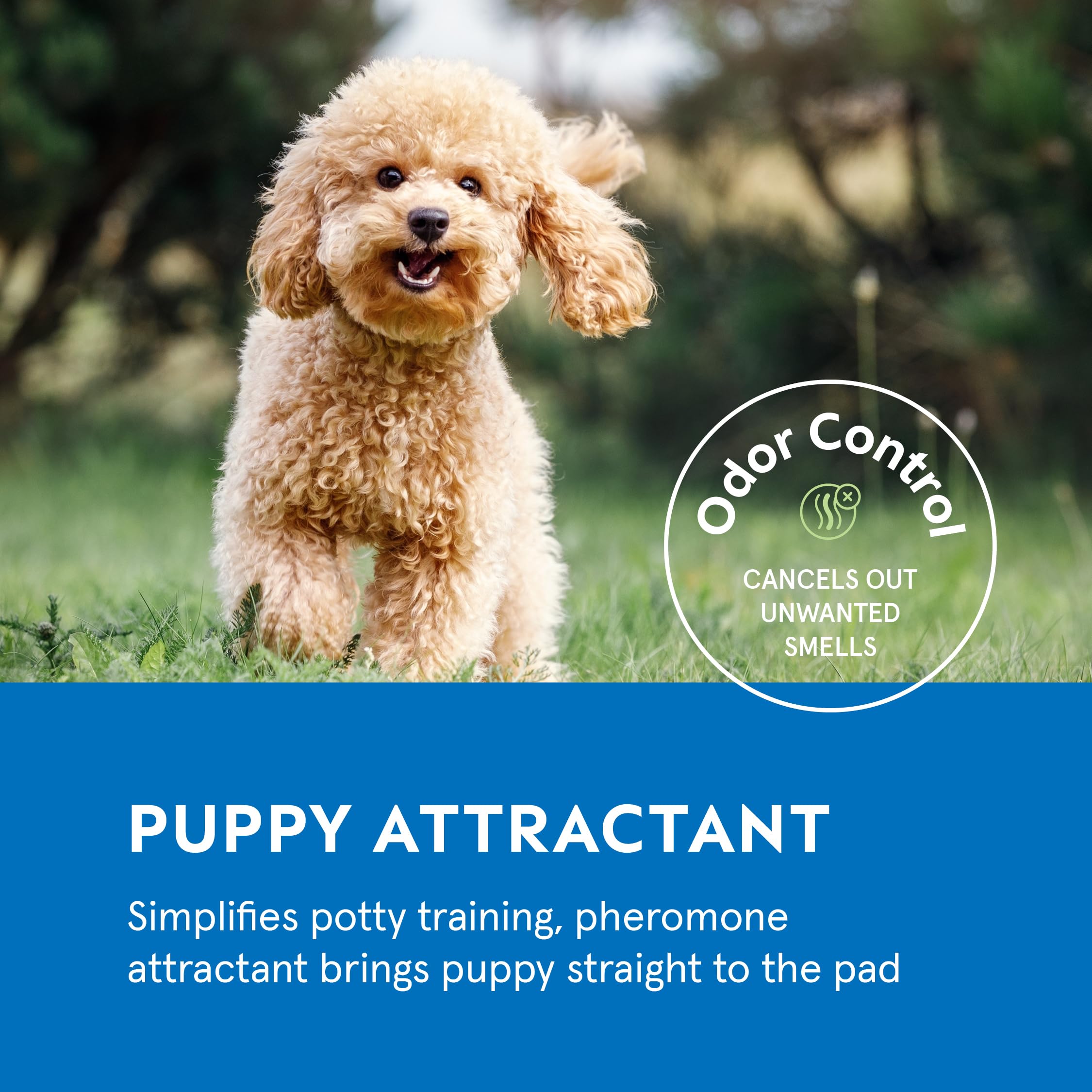 A World of Deals puppy pads leak-resistant film layer protecting floors.