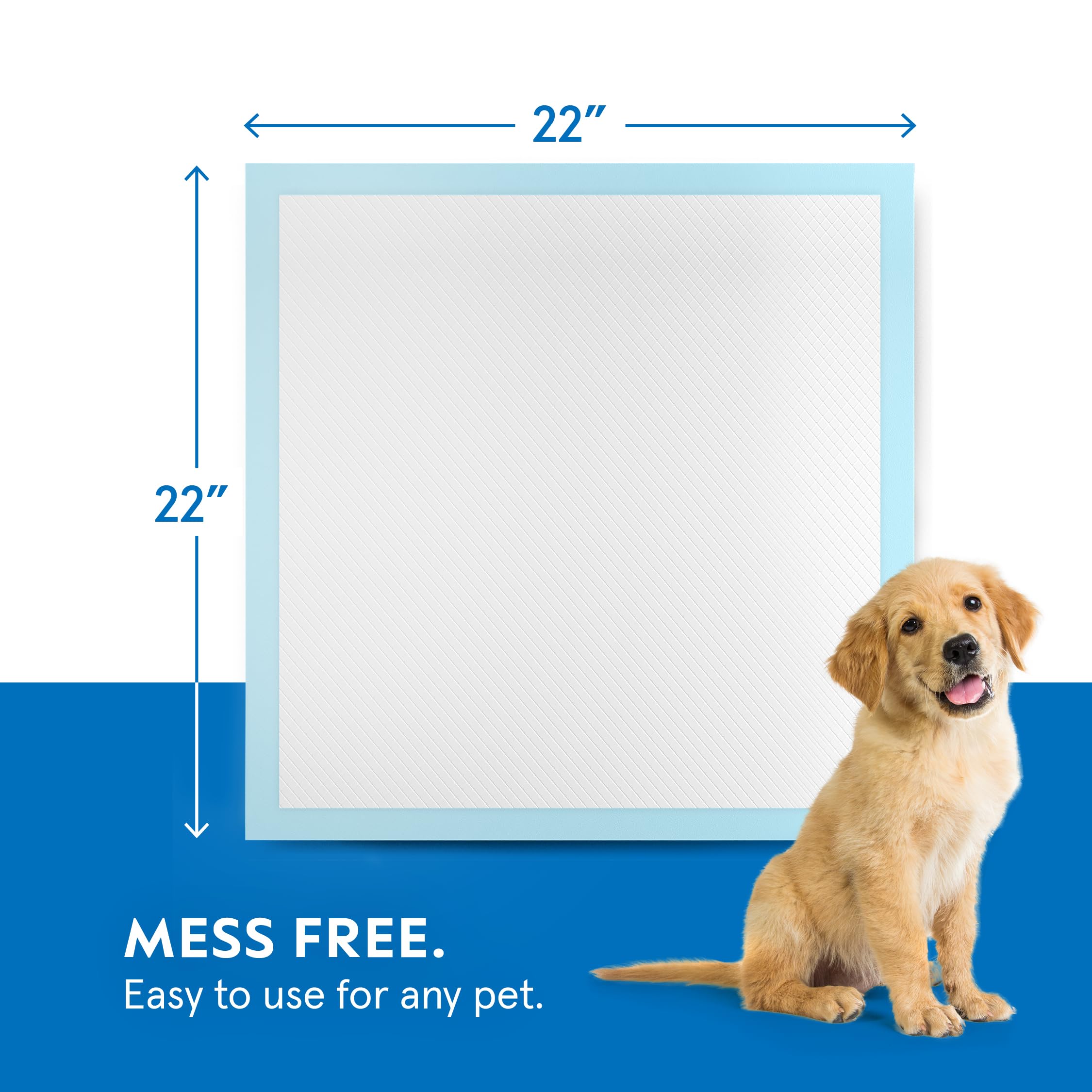 A World of Deals puppy pads training-use setup with a puppy.