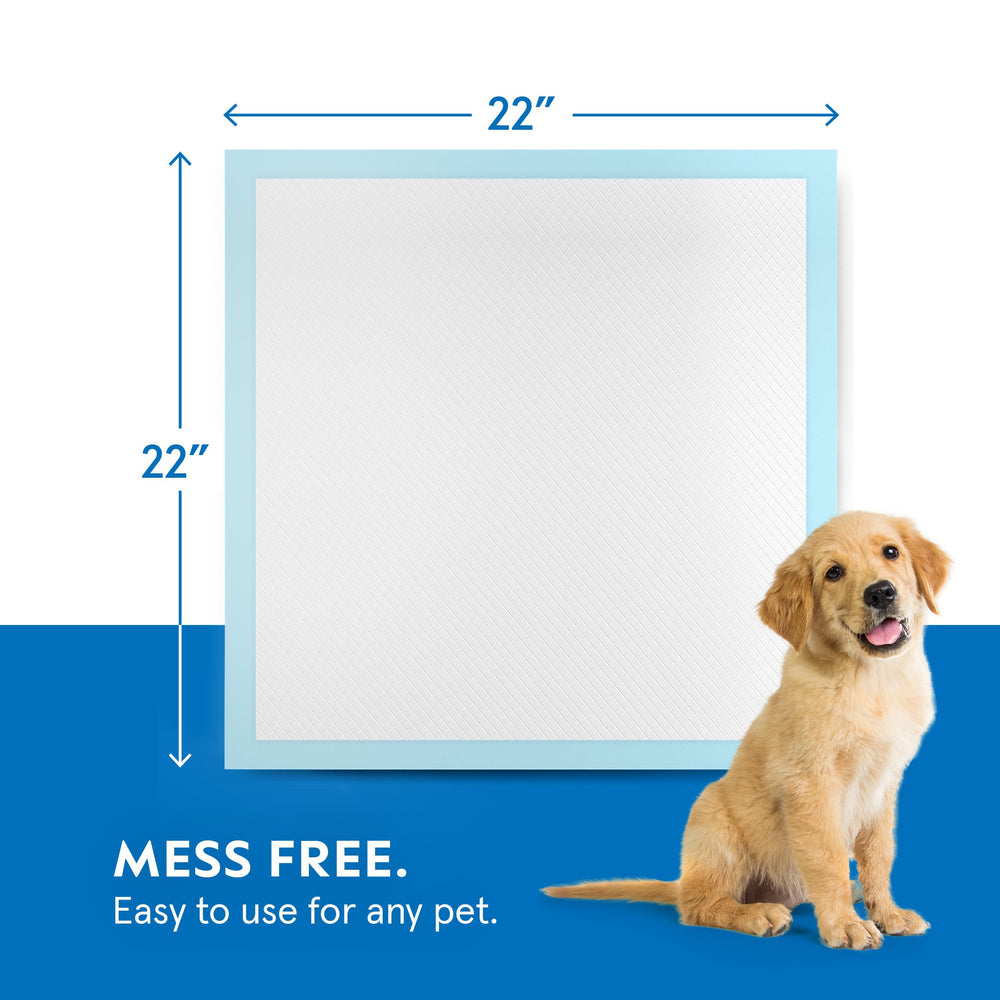A World of Deals puppy pads training-use setup with a puppy.