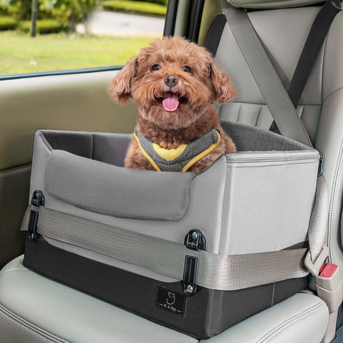 A4 Pet dog car seat with patent buckle secures small dogs during travels.