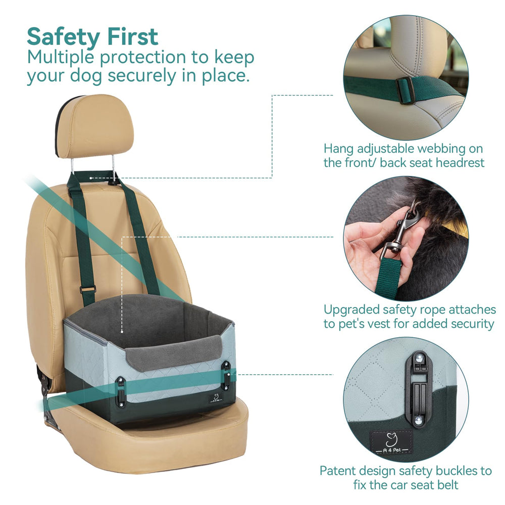 A4 Pet frame and patent buckle close-up showing secure travel protection.
