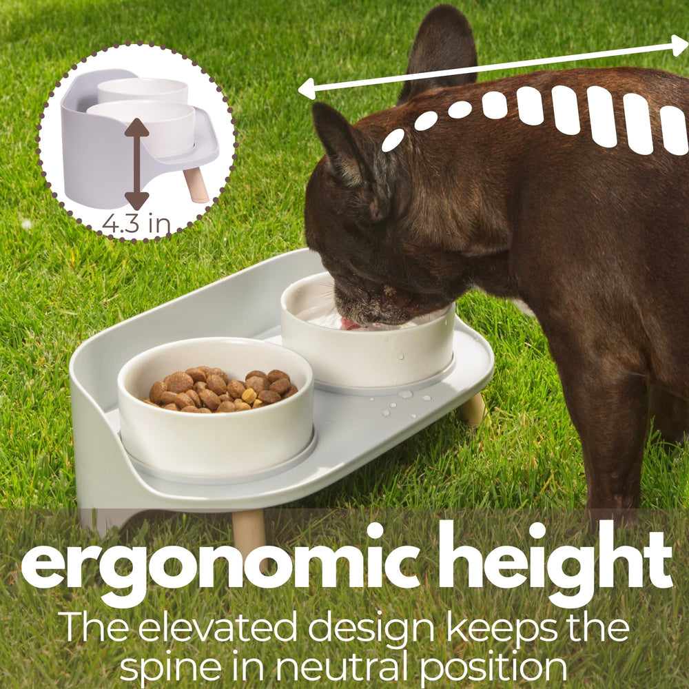 A4DOG bowls are dishwasher-safe for easy cleanup after meals