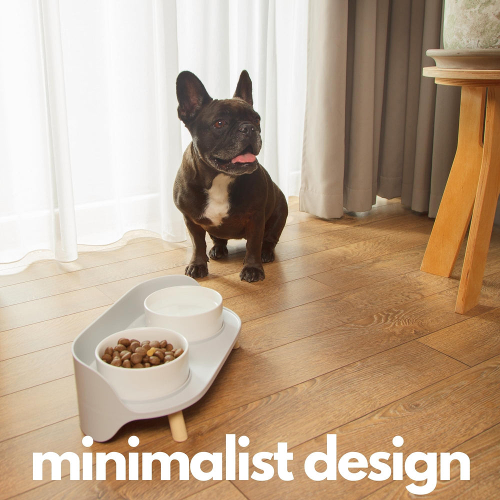 A4DOG elevated bowls encourage relaxed posture during meals and bonding moments