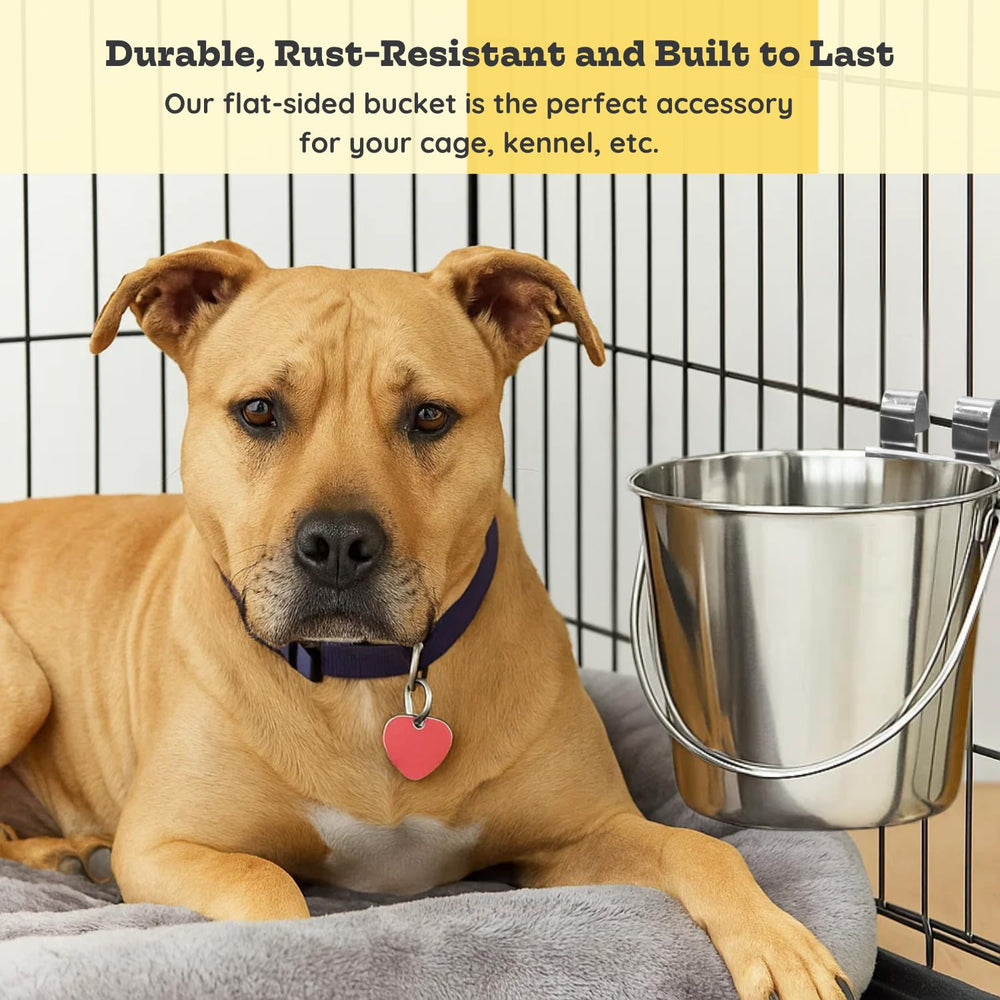 AASPIRE PETS sturdy, scratch-resistant bowl withstands regular handling.