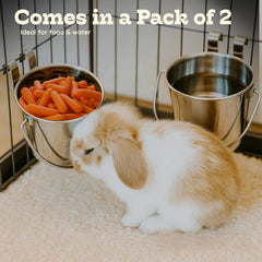 AASPIRE PETS 1qt capacity bucket for meals or water in crates.