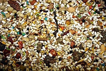 ABBA 1300 large hookbill food serving highlighting daily feeding and minimal waste.