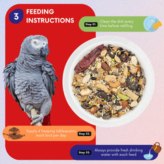 ABBA 1400 whole egg nutrition support for feather health and energy in parrots
