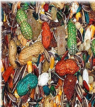 ABBA 1500 parrot food serving bowl showing complete daily diet for large birds