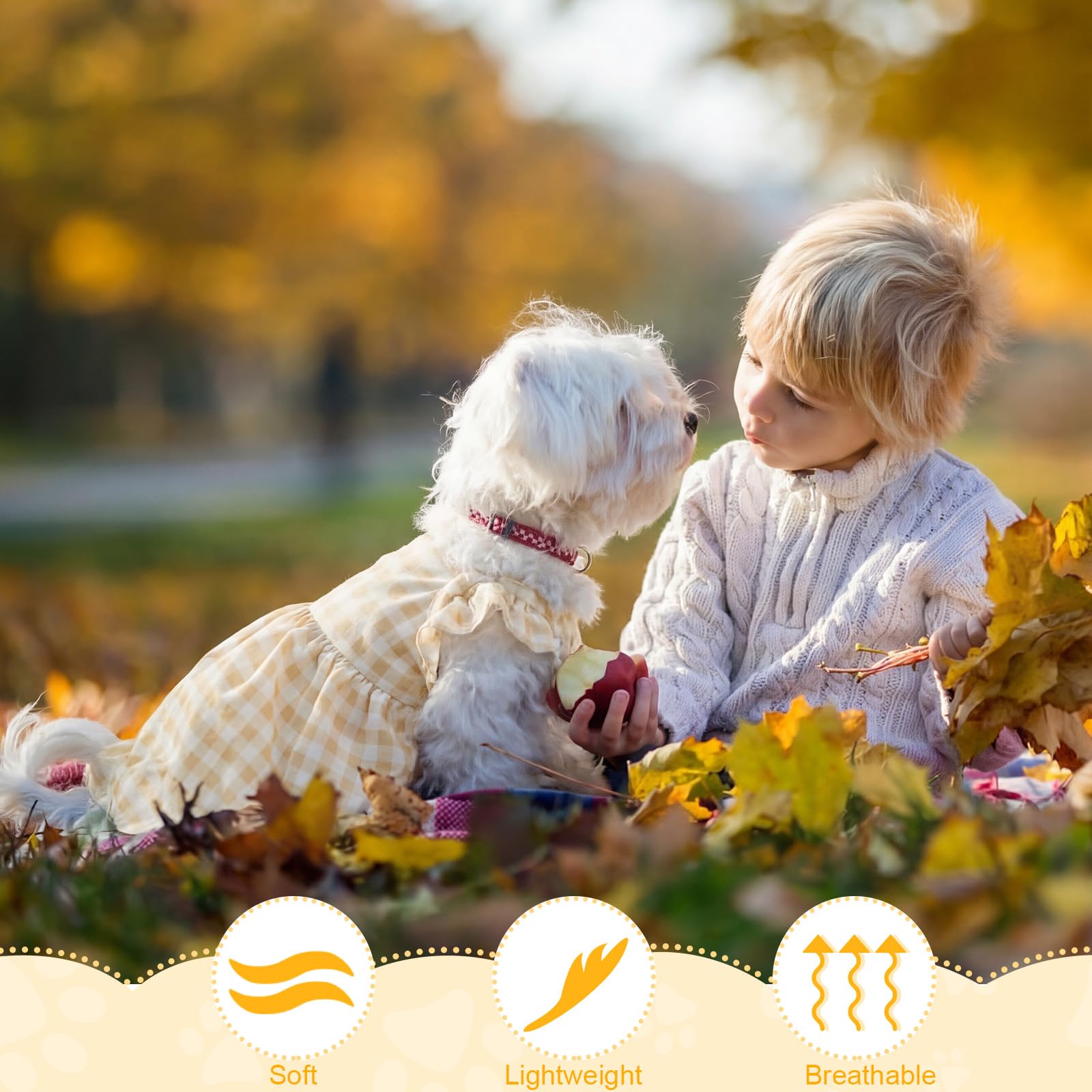 Abbylike 5-styles dog dresses collection boosts versatile everyday wear for dogs.