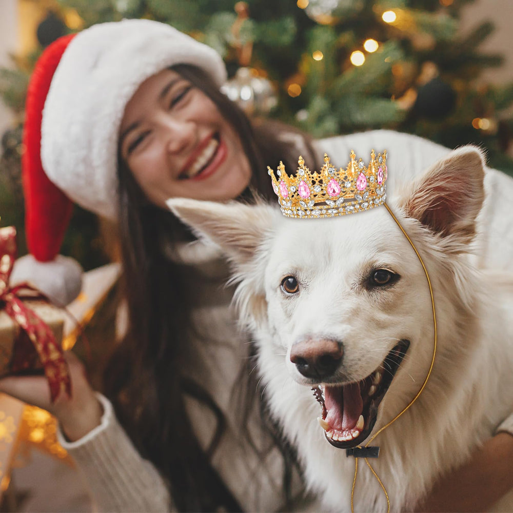Abbylike birthday crown prop adds charm to gatherings and shoots