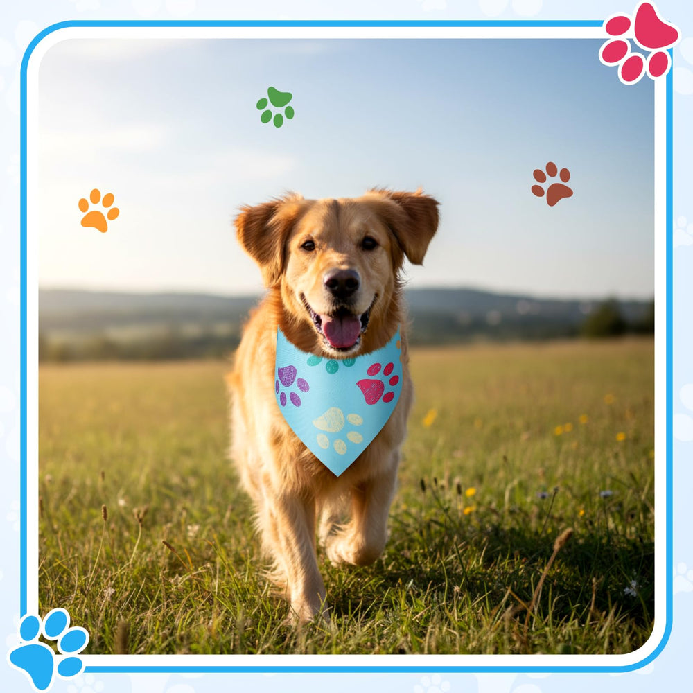 Abbylike 100-piece bandana set ships in bulk for events and giveaways.