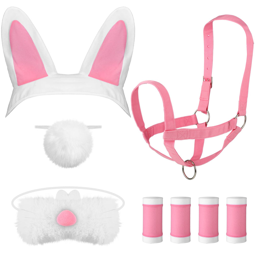 Abbylike Easter costume set for coordinated parade outfits