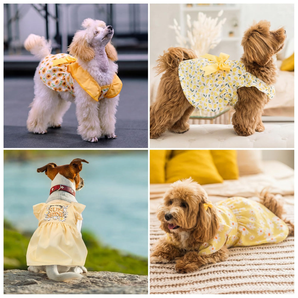 Abbylike easy-on-off dog dress supports comfortable wearing sessions.