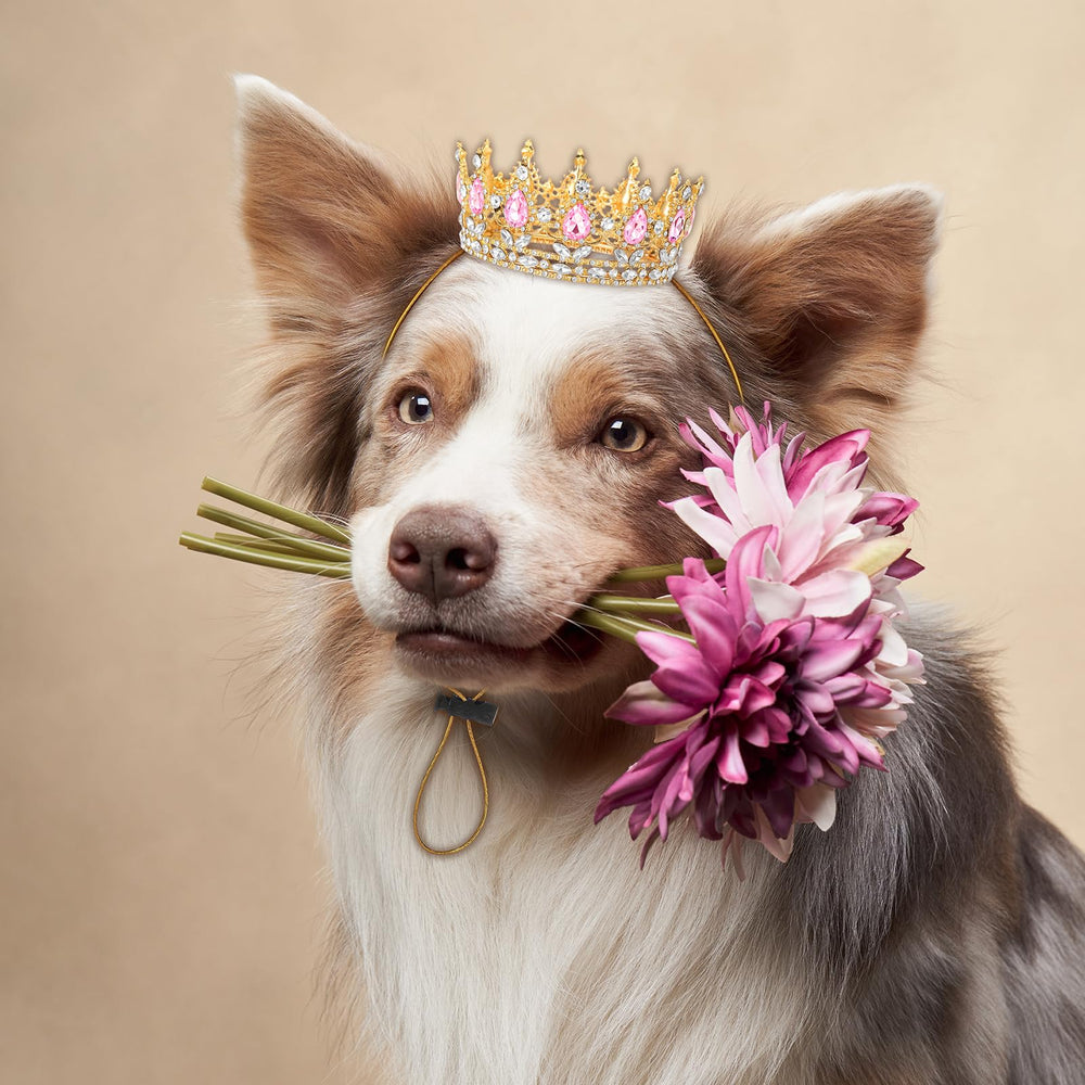 Abbylike Halloween dress-up crown enhances pet photos and memories