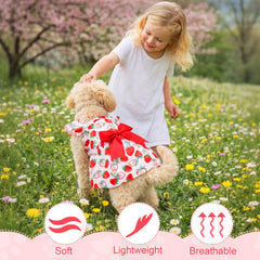 Abbylike plaid dog dress in pink adds versatile everyday chic