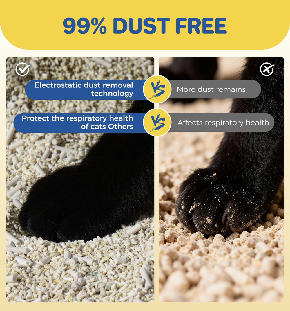 ABCPET cat litter box scene demonstrates low tracking and neat floors.