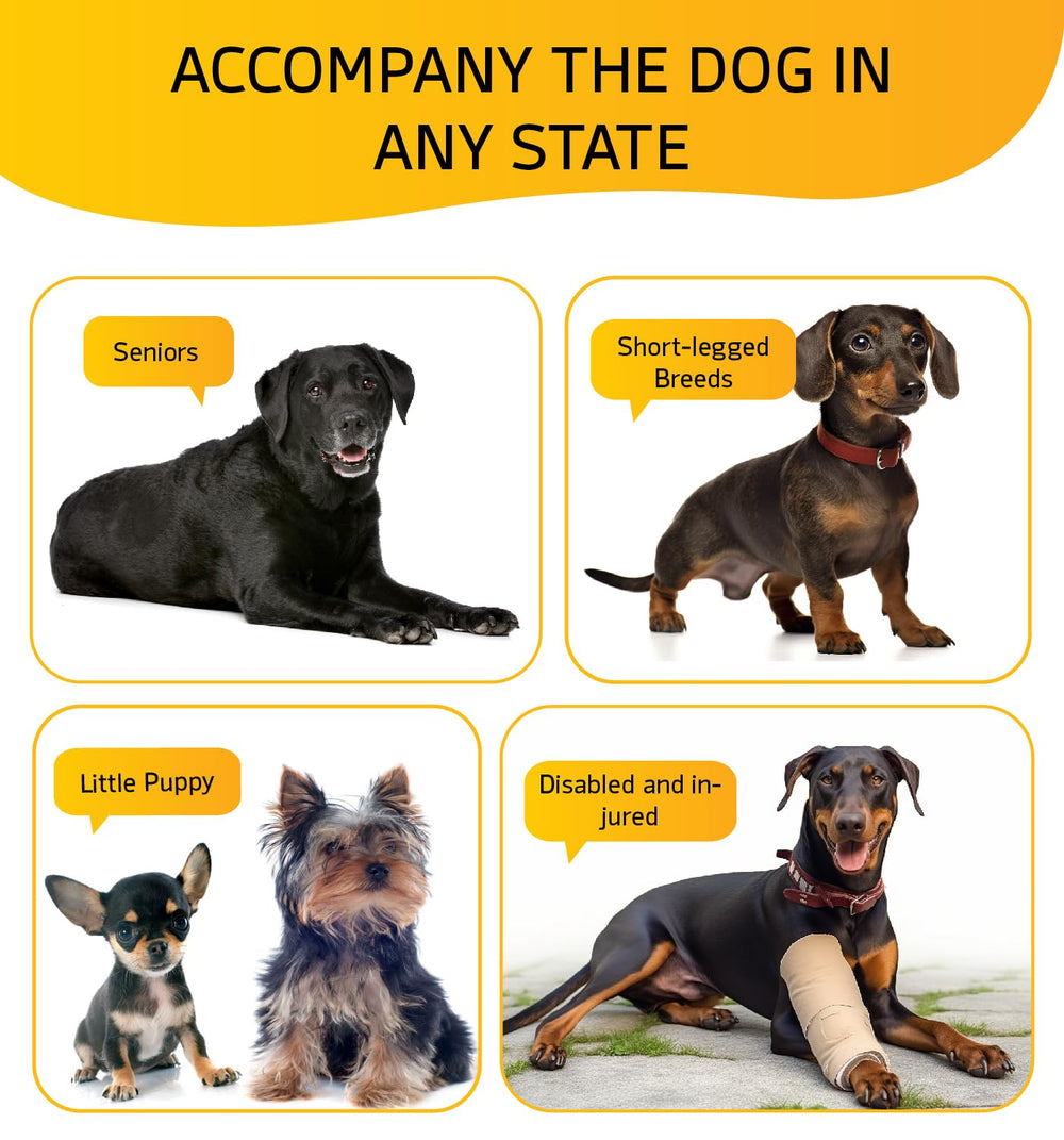 ABCPET foldable gray stairs store compactly when not in use