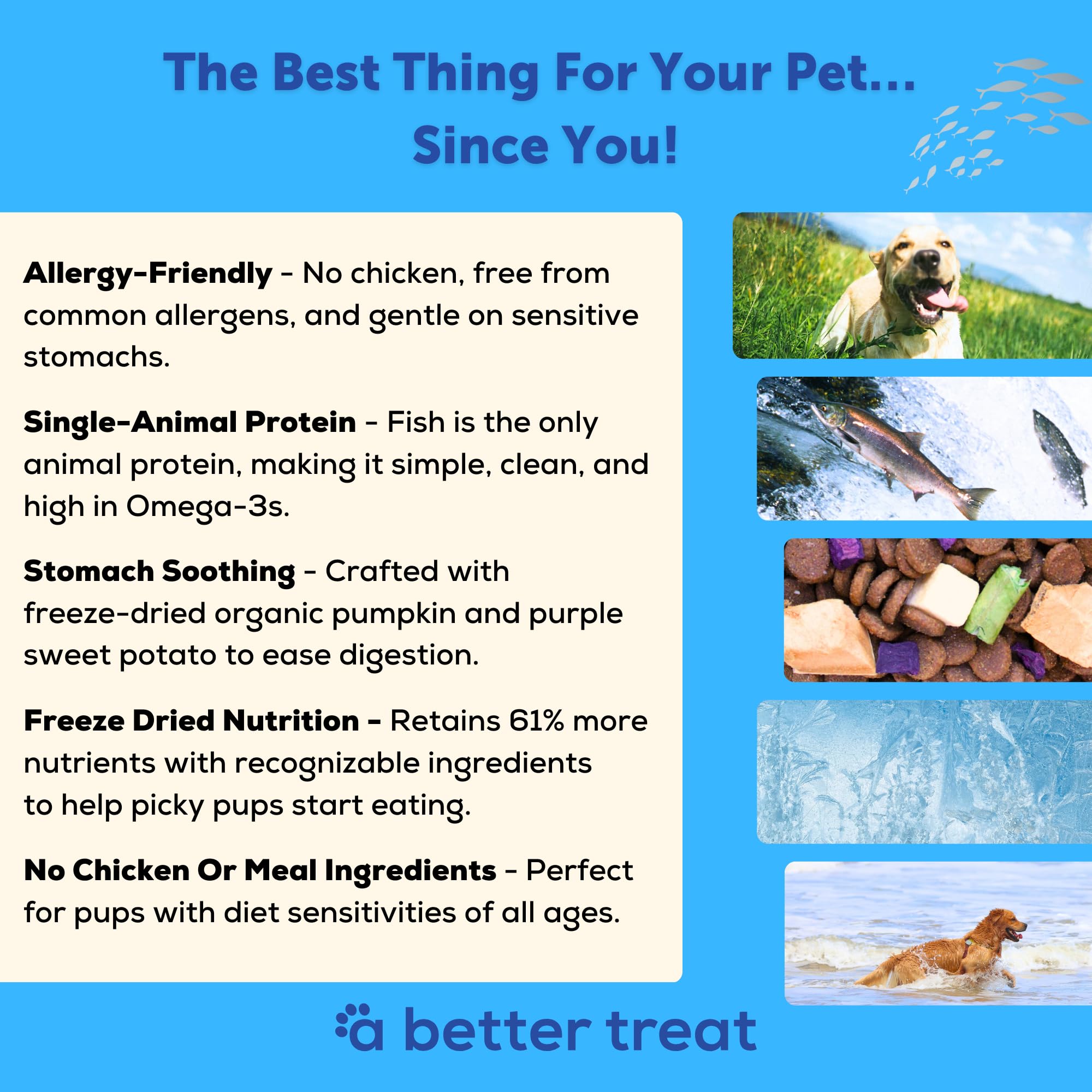 A Better Treat fish-first ingredient label, high quality protein