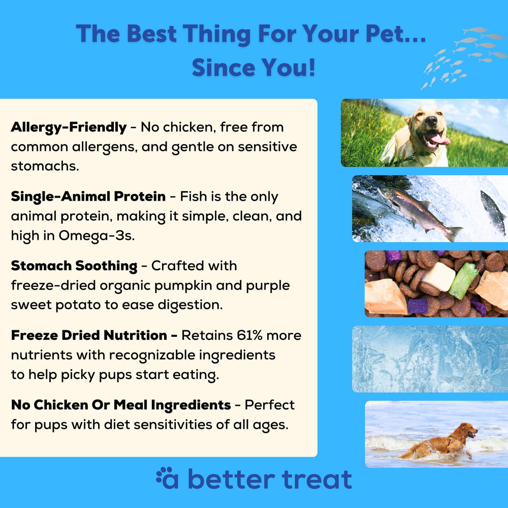A Better Treat fish-first ingredient label, high quality protein