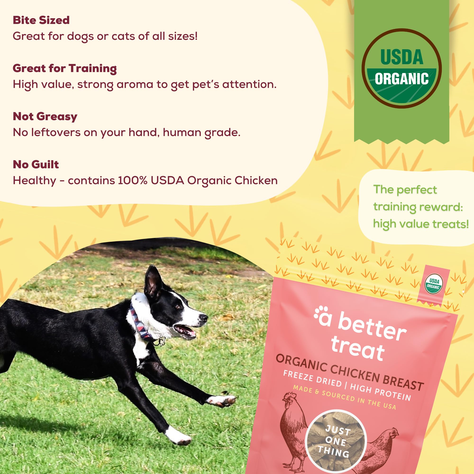 A Better Treat organic freeze dried chicken breast dog treat on surface demonstrating digestive-friendly, easily digestible snack