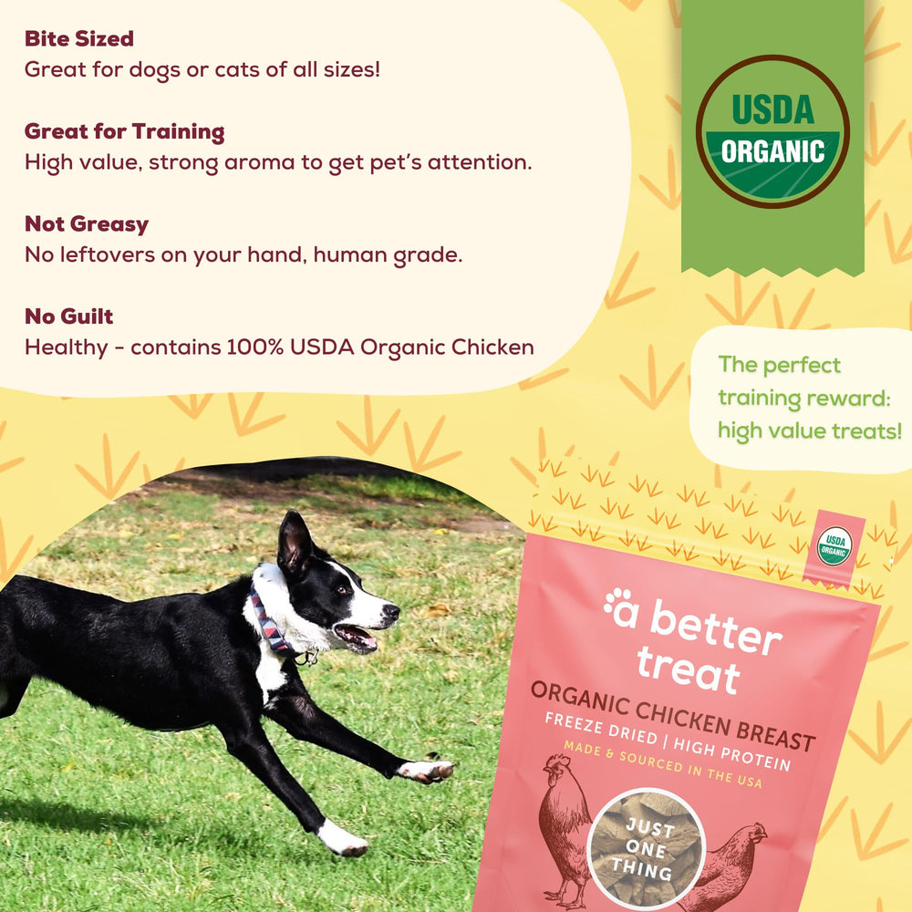 A Better Treat organic freeze dried chicken breast dog treat on surface demonstrating digestive-friendly, easily digestible snack