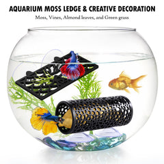 Abizoo Betta cave-opening gives a secure hideout with clear views for tank mates.