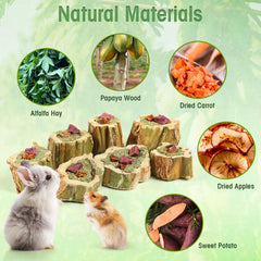 Abizoo dried carrot pieces offering crunchy enrichment for small pets
