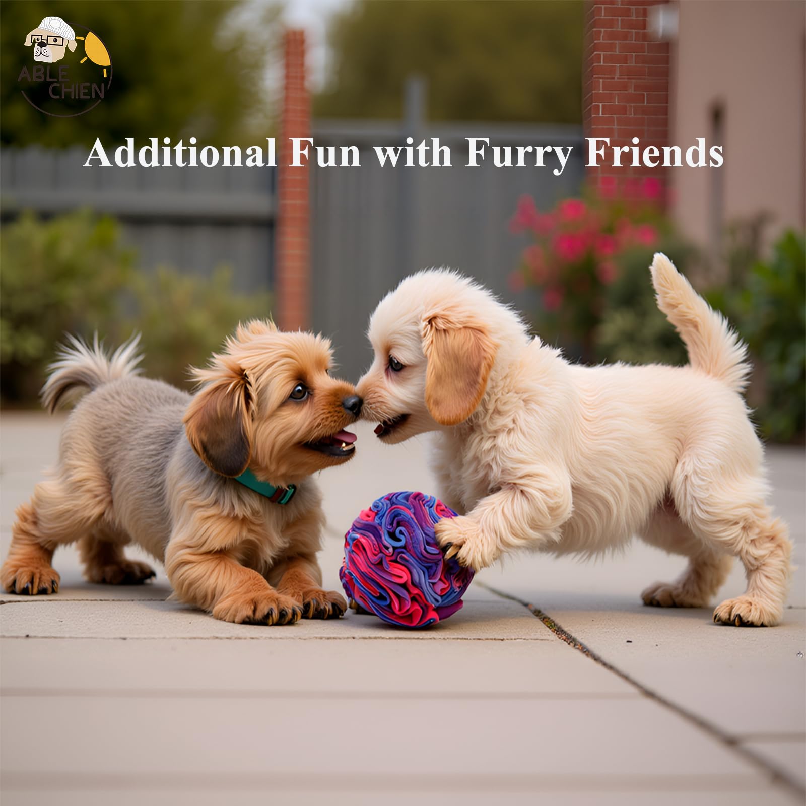 Ablechien Snuffle Ball foraging toy promoting sniffing and search