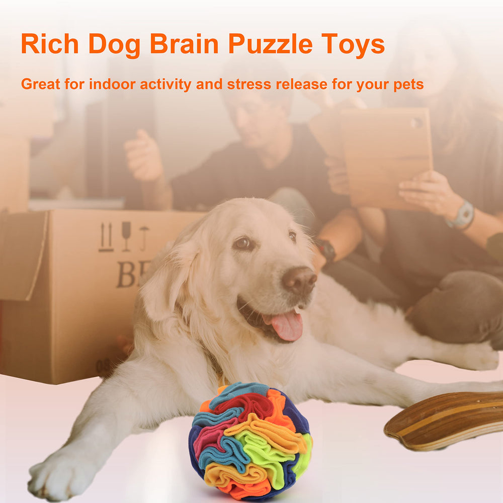 An interactive puzzle moment with Ablechien Snuffle Ball encouraging sniffing and problem solving.