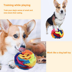 Ablechien Snuffle Ball shown being machine washed for easy cleaning
