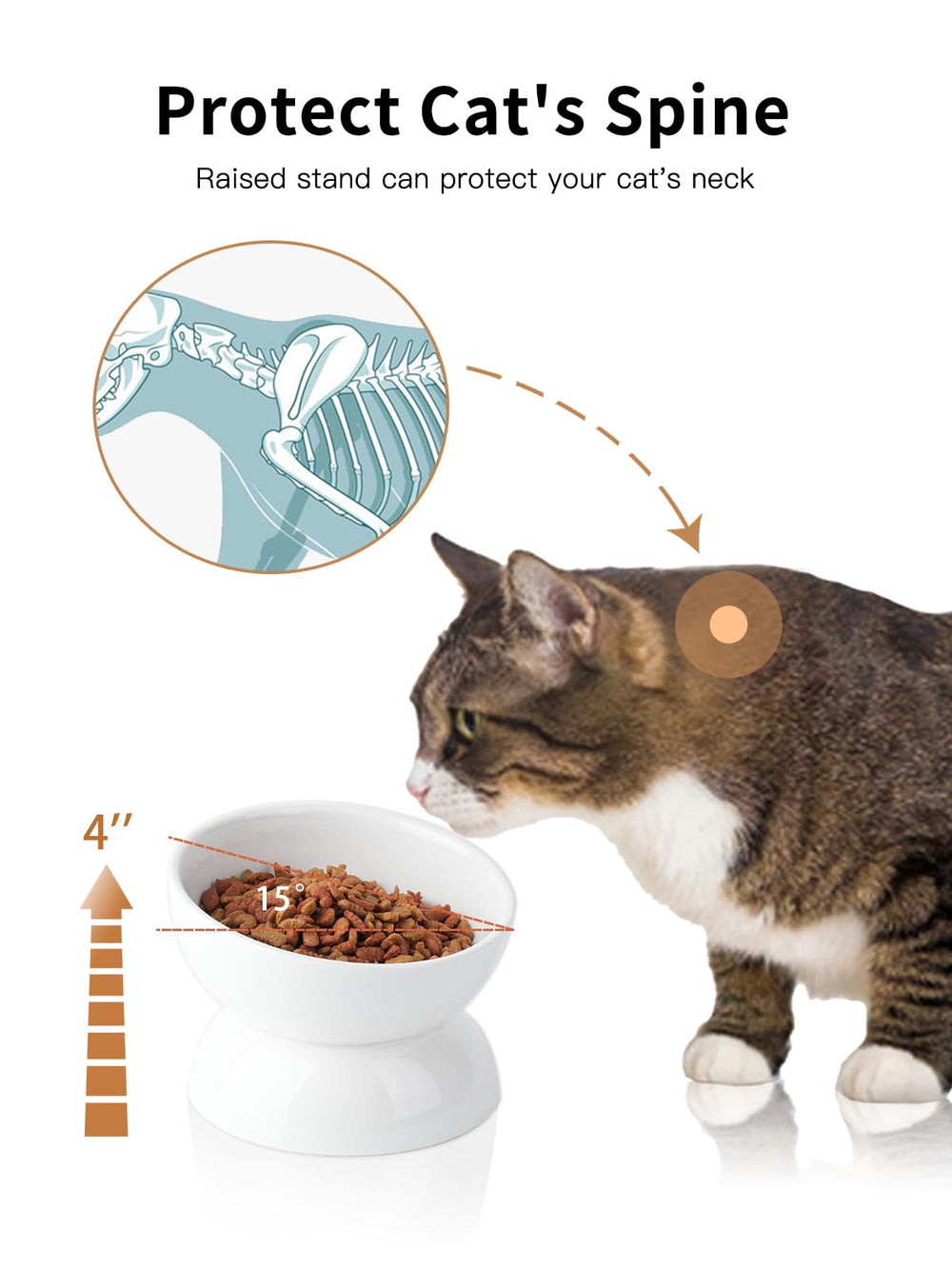 ABRUTY lead-free ceramic cat bowl for safe daily use.