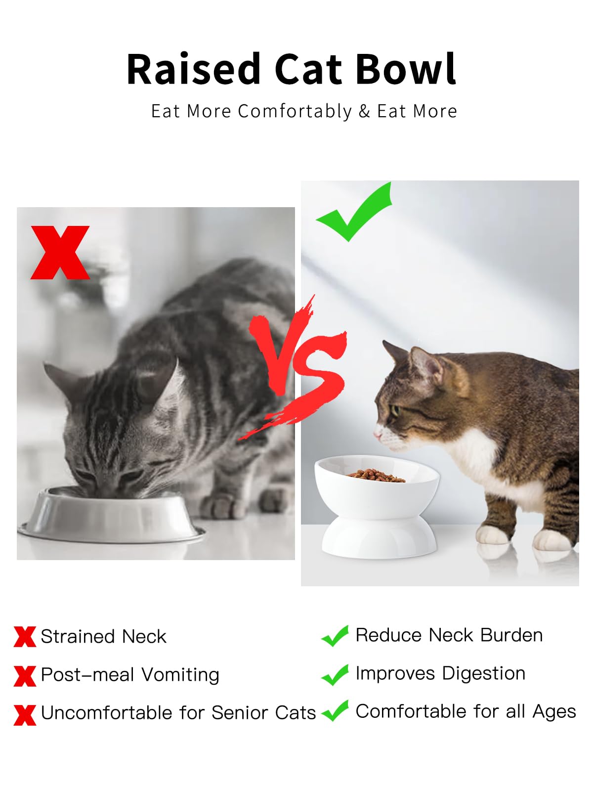 ABRUTY seven-colors ceramic cat bowl adds stylish kitchen decor.