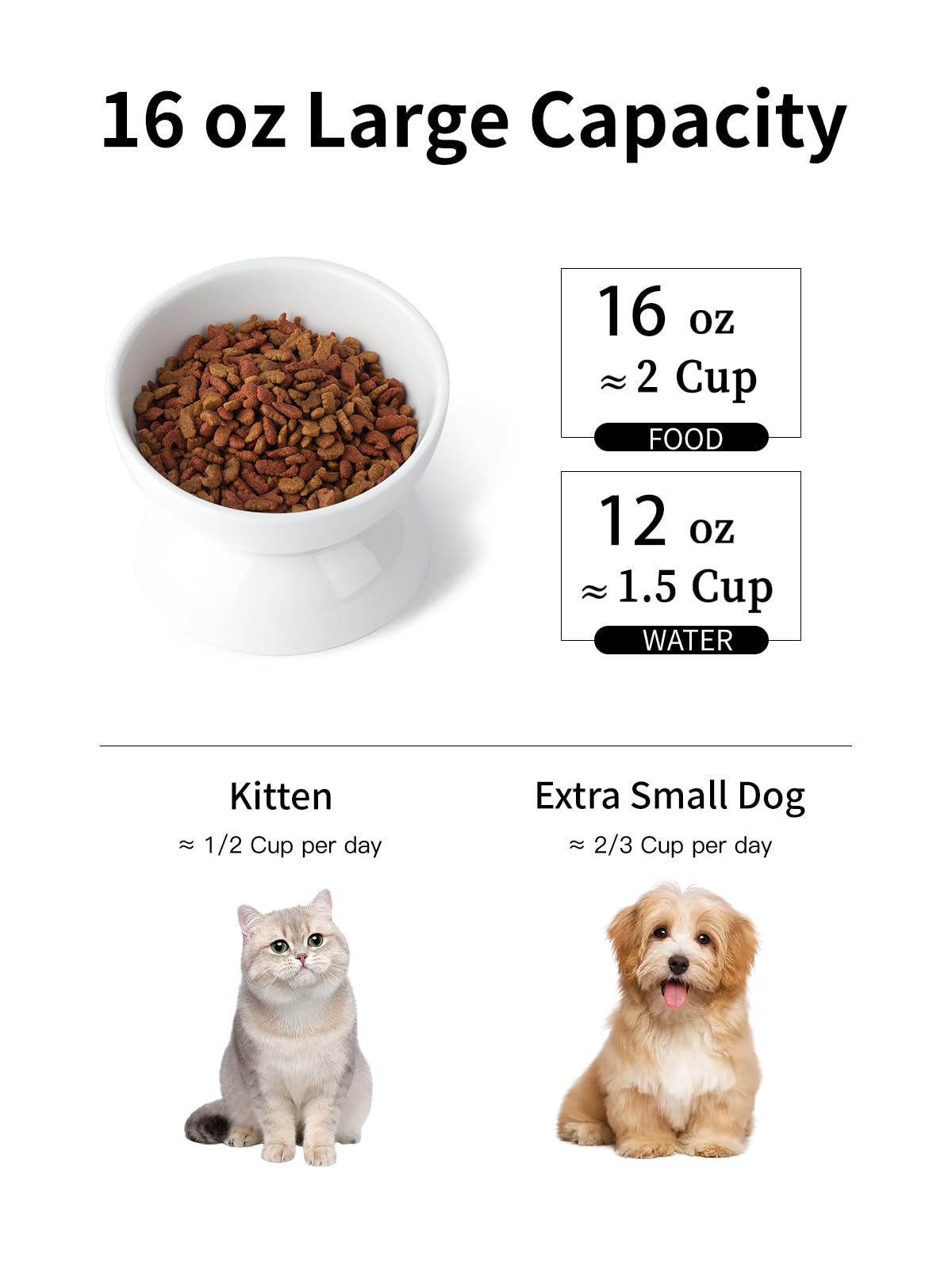 ABRUTY tilted cat bowl 15-degree supports a comfortable dining posture.