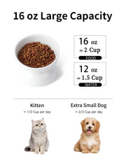 ABRUTY tilted cat bowl 15-degree supports a comfortable dining posture.