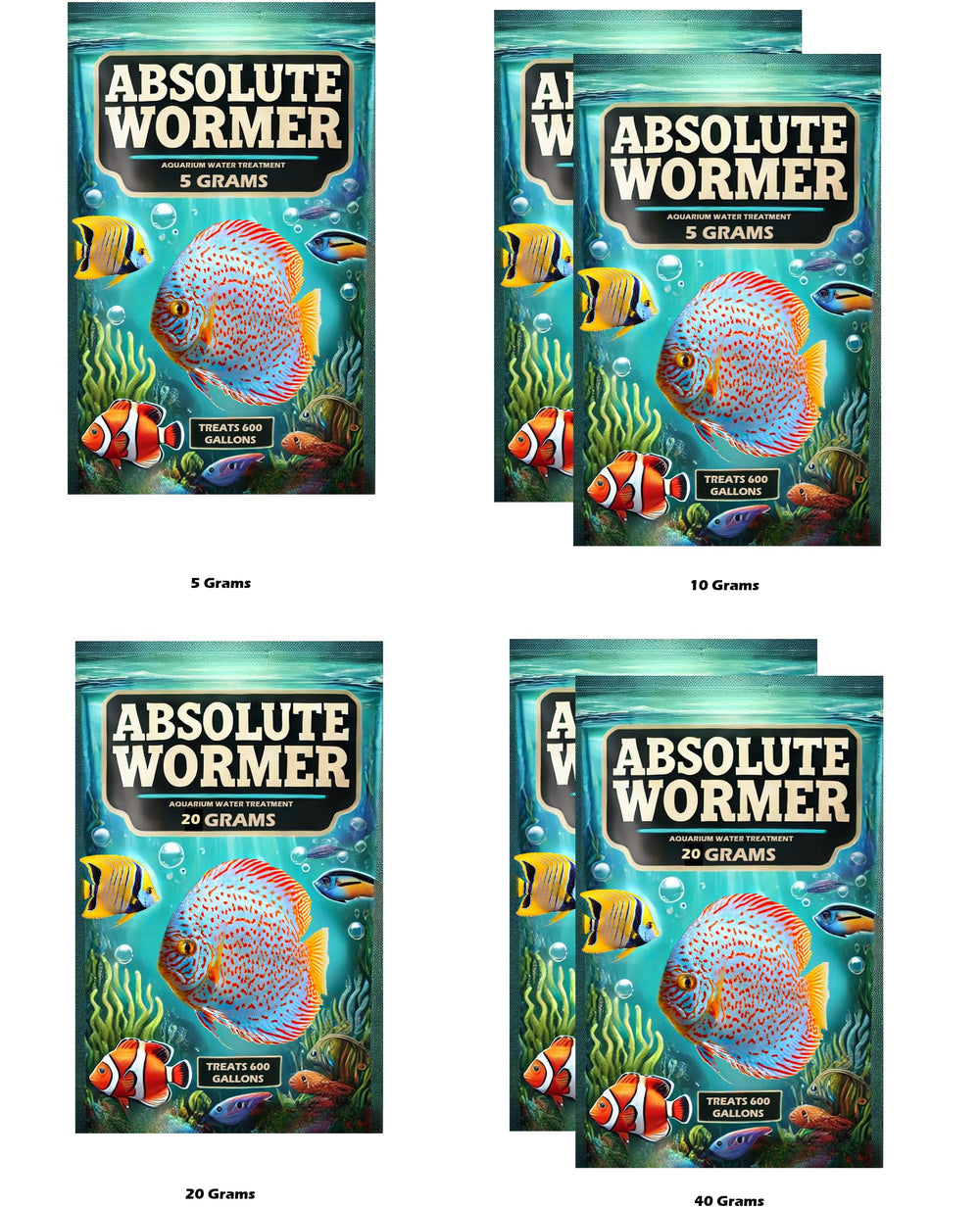 Absolute Wormer snail control in a planted aquarium